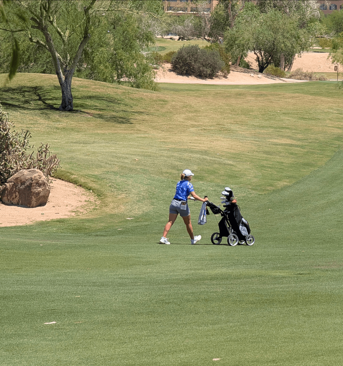 TPC Champions golf