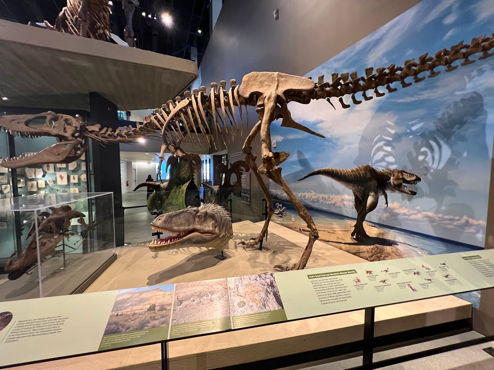 Natural History Museum of Utah, photo 3
