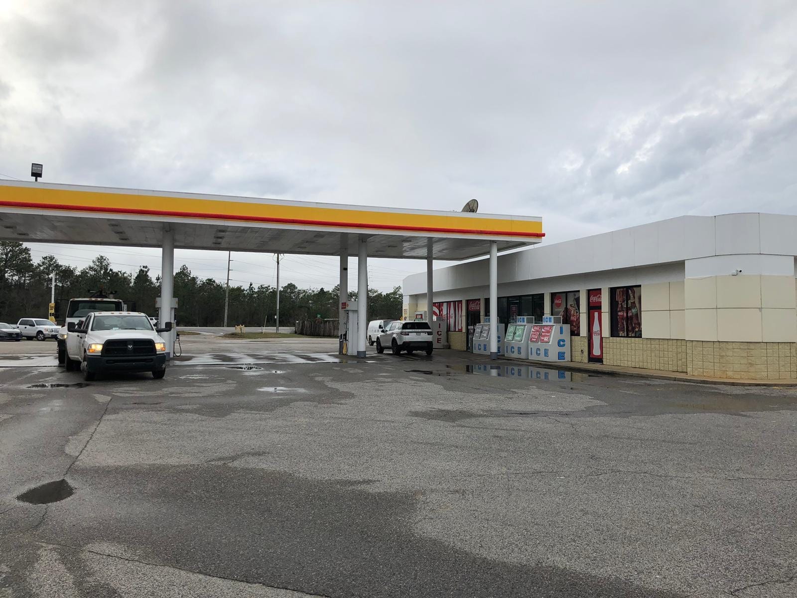 Shell, photo 2