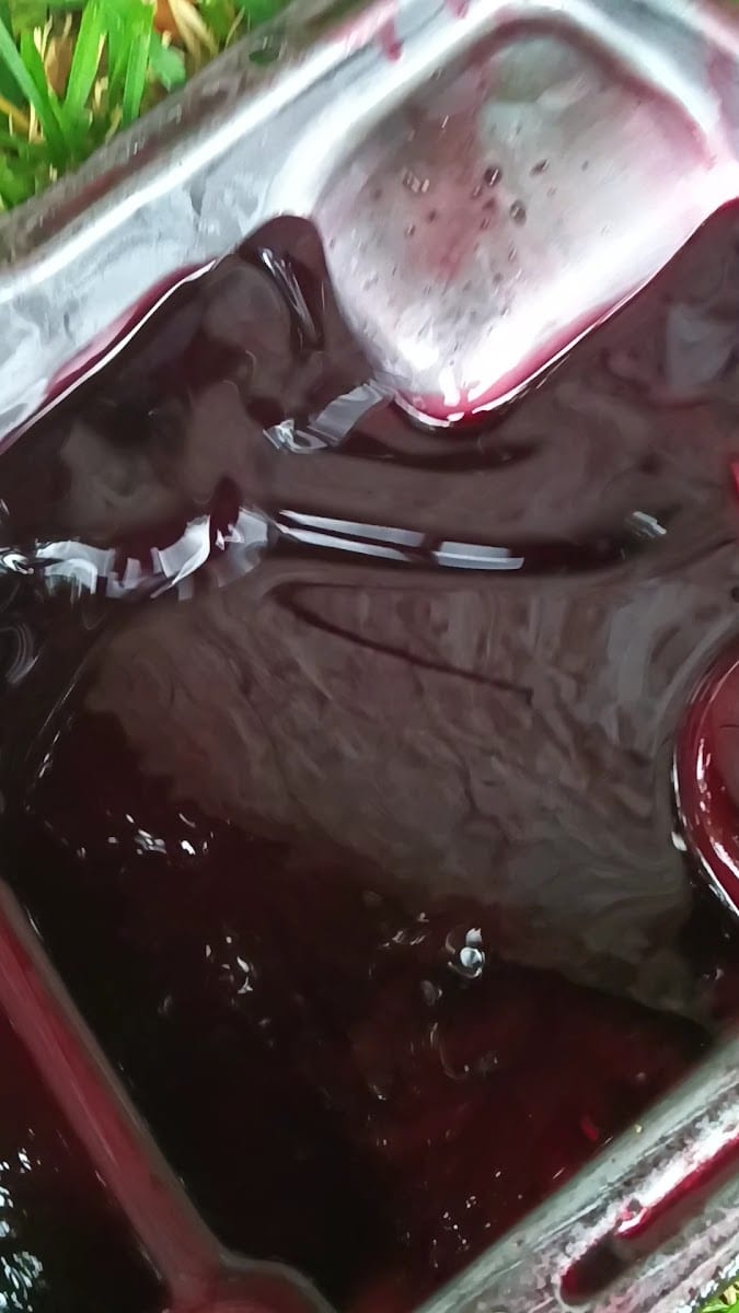 Steven's Automotive Repair, Paint, and Body, photo 4