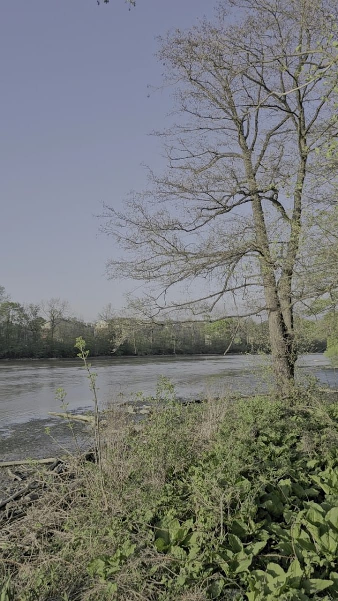 Bausch & Lomb Riverside Park, photo 2