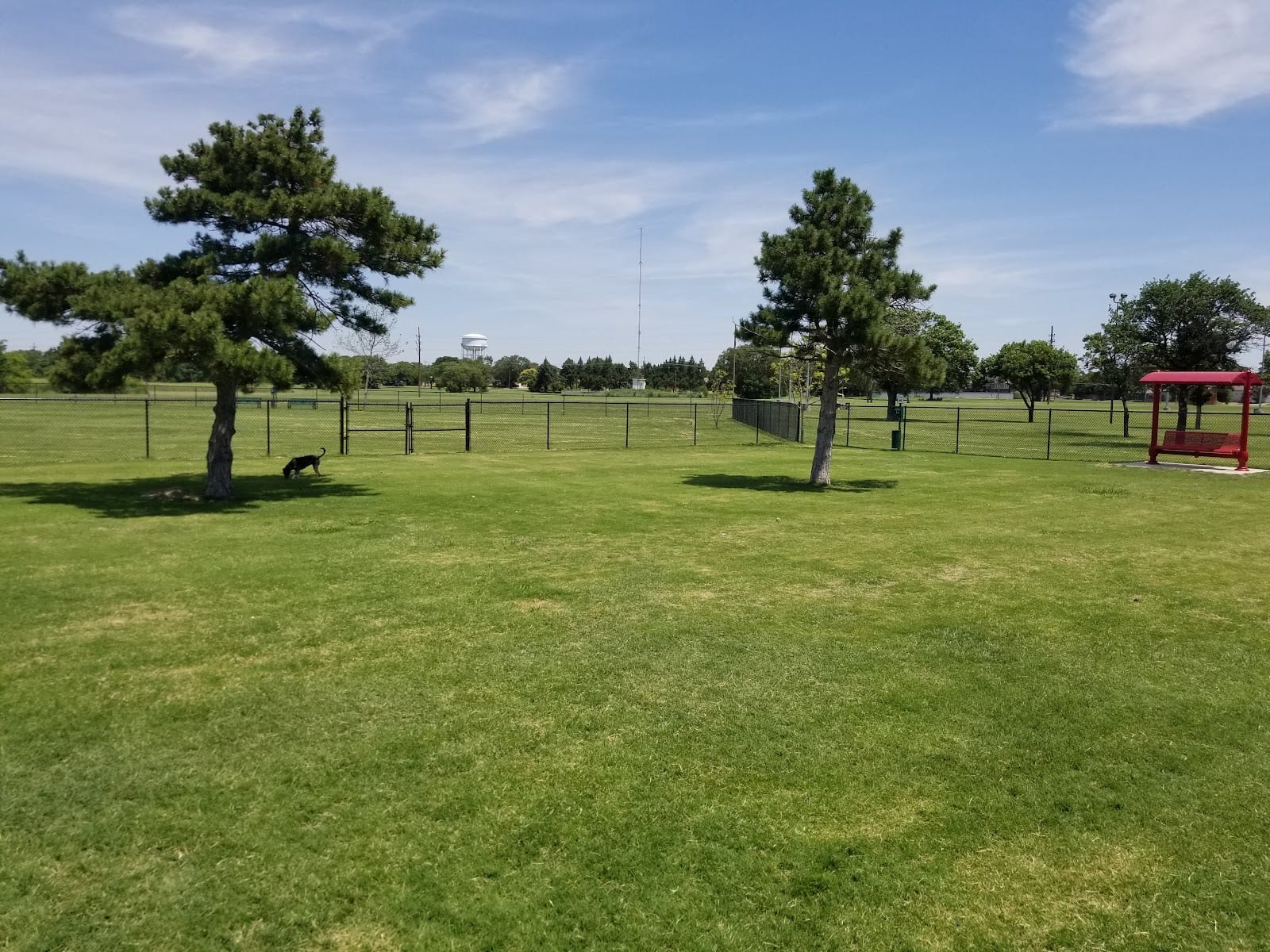 Clapp- Hub City Dog Park