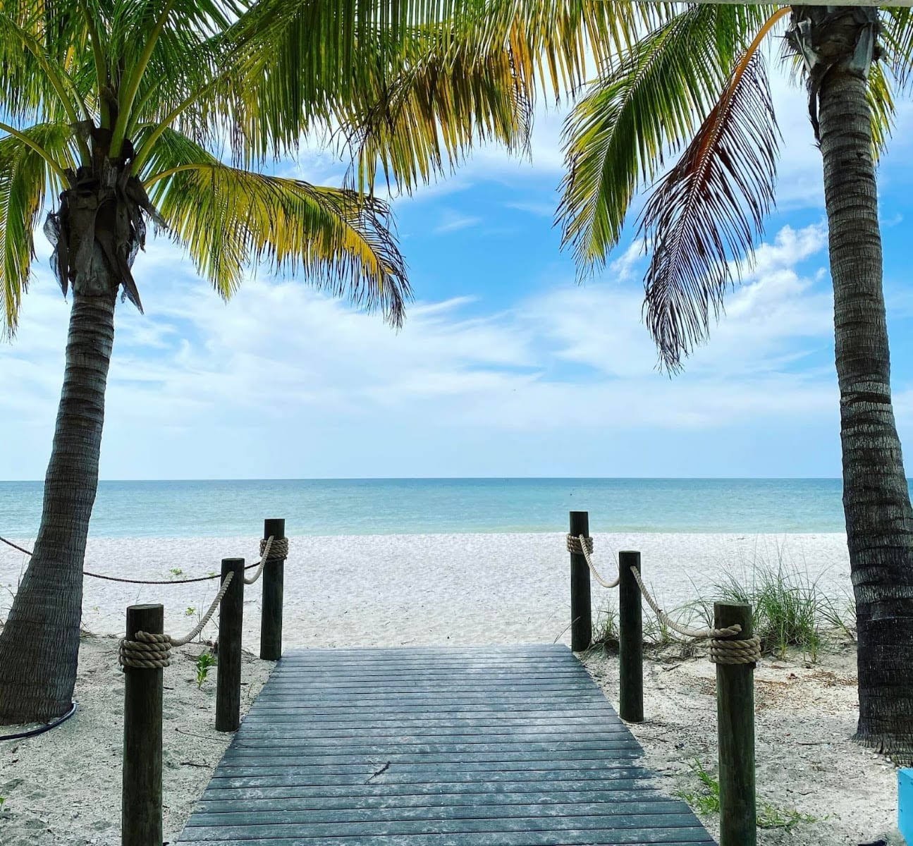 Barbara L Hamerton, LLC RE/MAX ALLIANCE GROUP