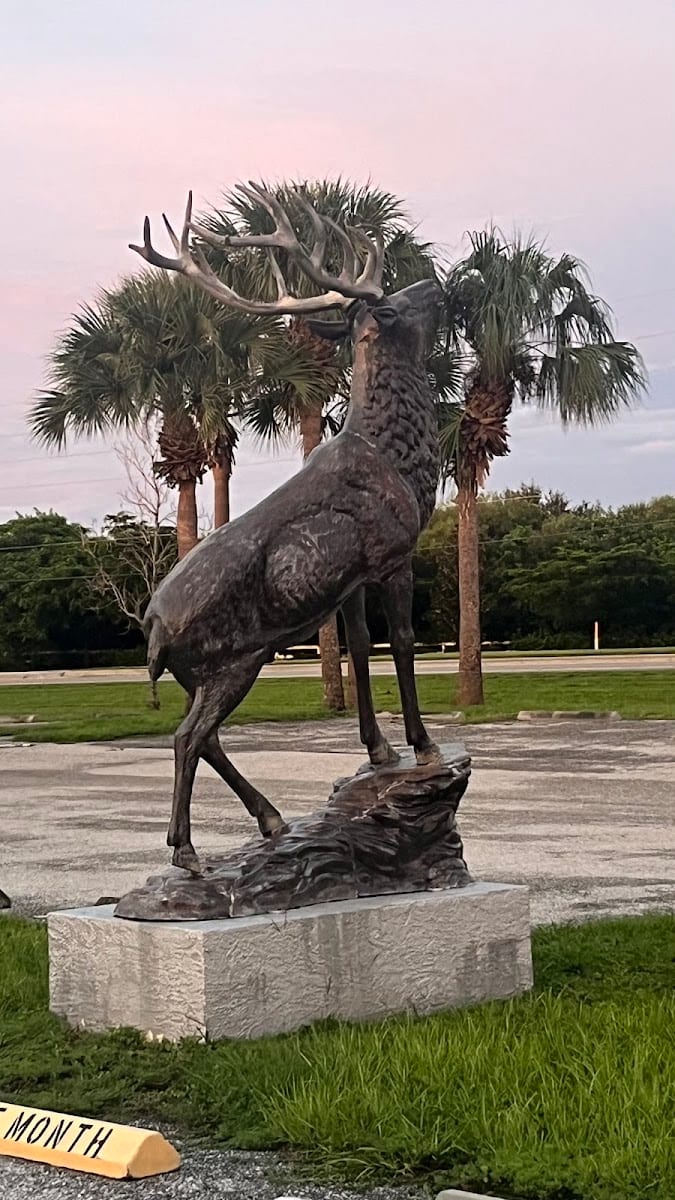 Venice-Nokomis Elks Lodge #1854