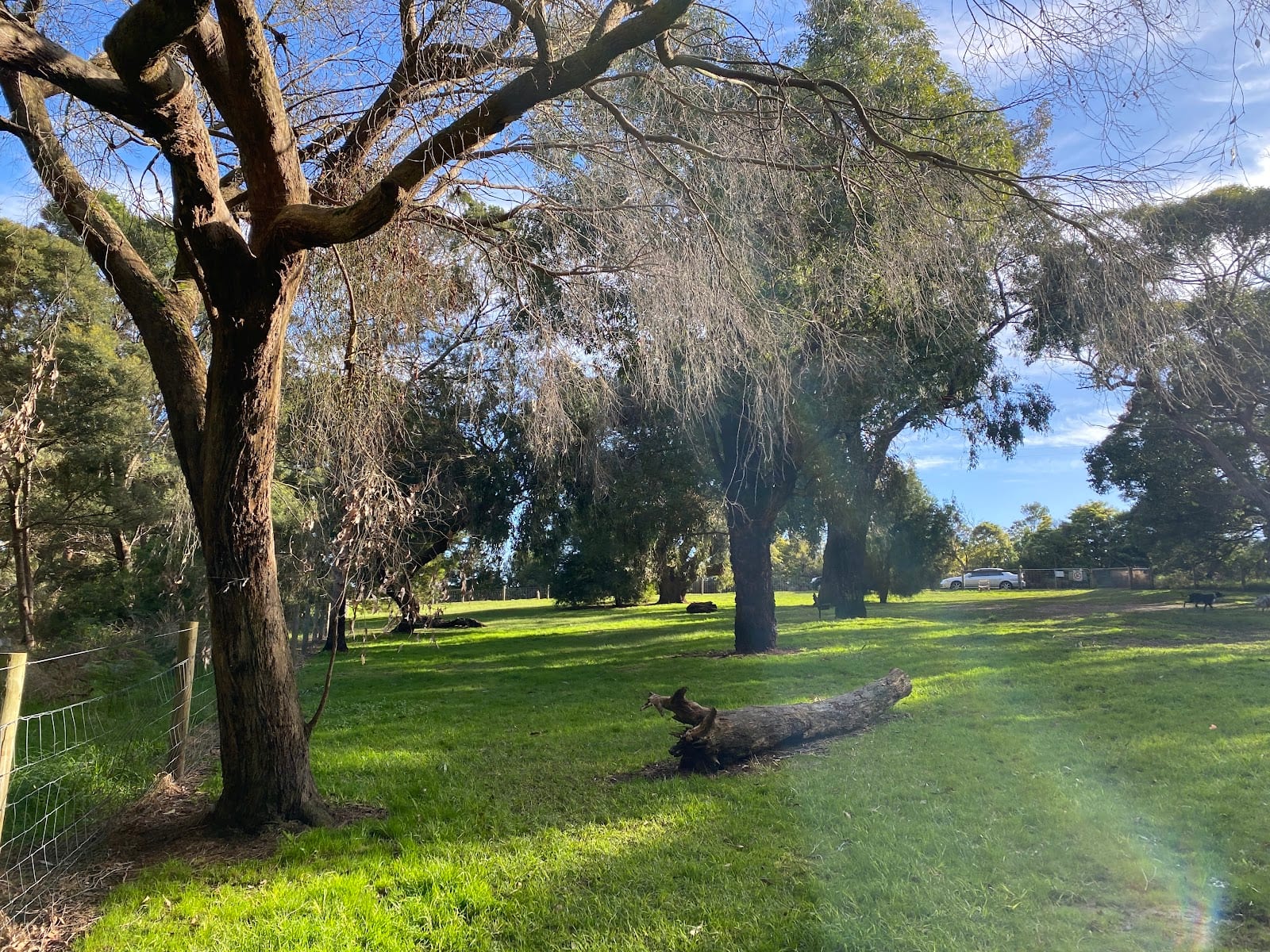 Hann Creek Off-leash Dog Park
