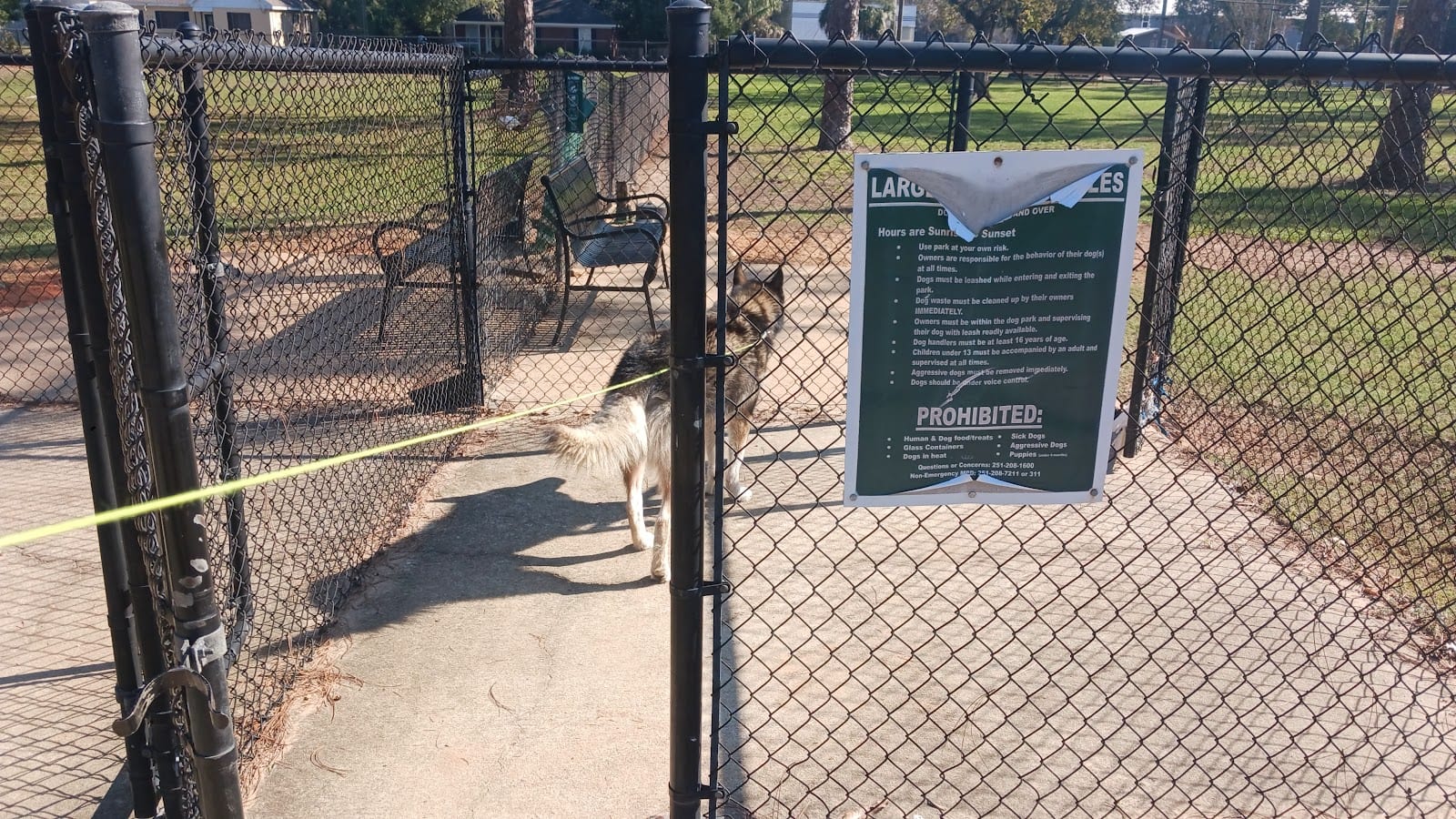 Dog Park @ Public Safety Park, photo 2