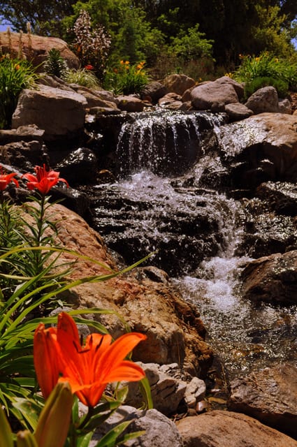 Canyon Landscaping, photo 4