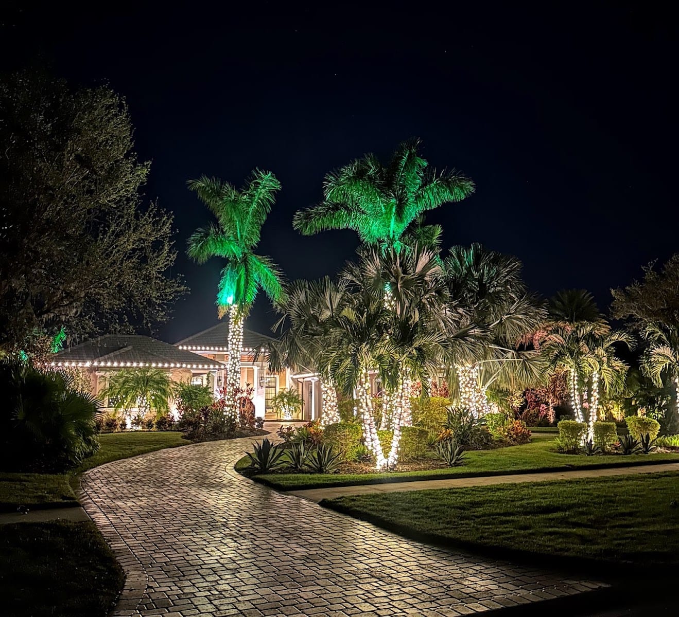 Sarasota Holiday Lighting, photo 3