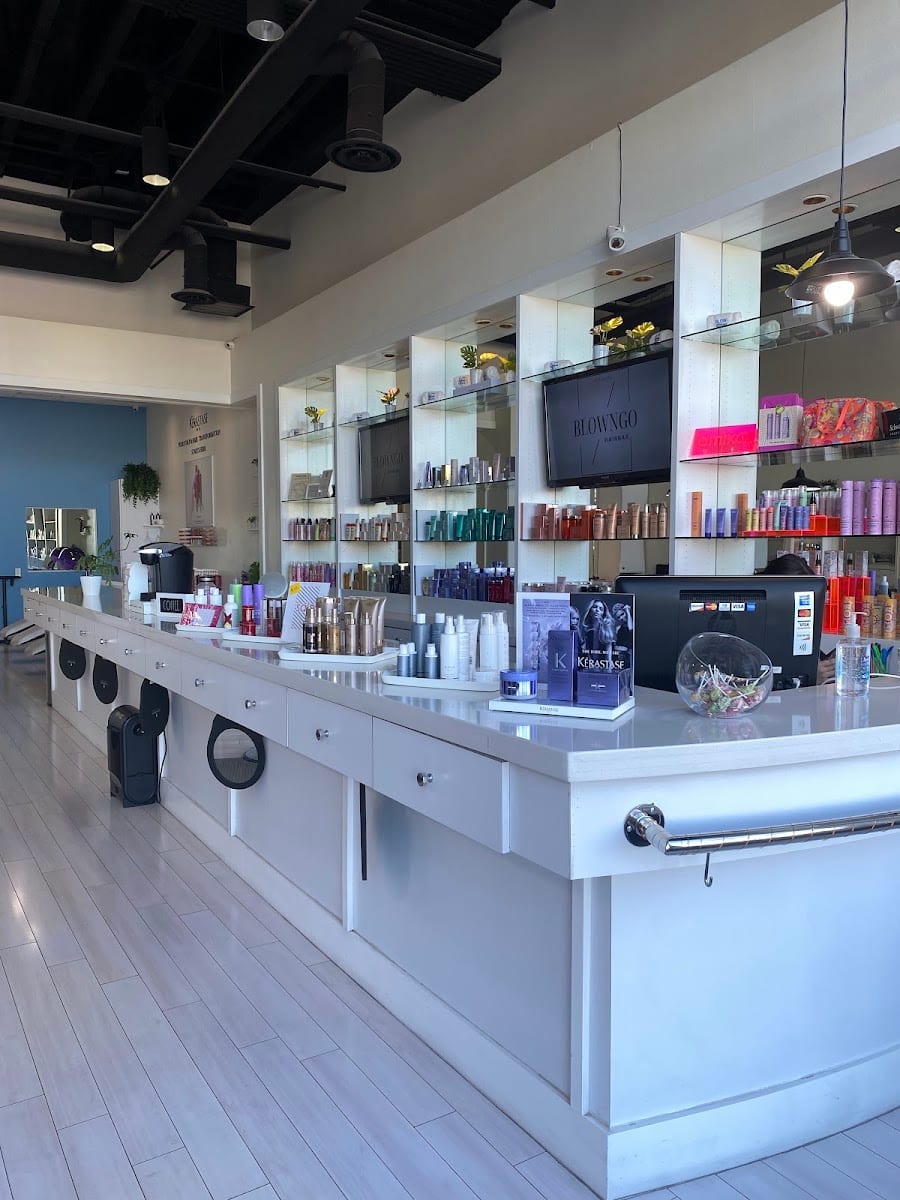 Blow N Go Hairbar