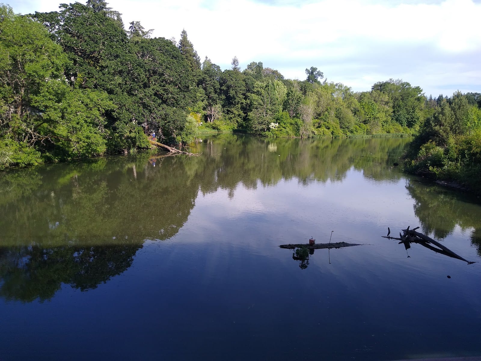 Robert Kronberg Park