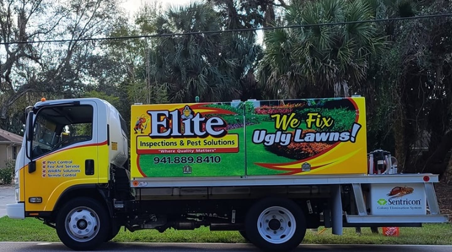 Elite Inspections & Pest Solutions, photo 3