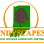 Indyscapes