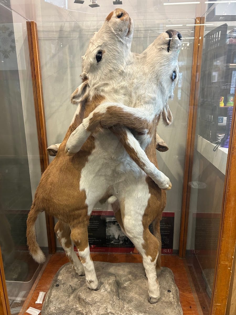 Garth & Jerri Frehner Museum of Natural History, photo 3
