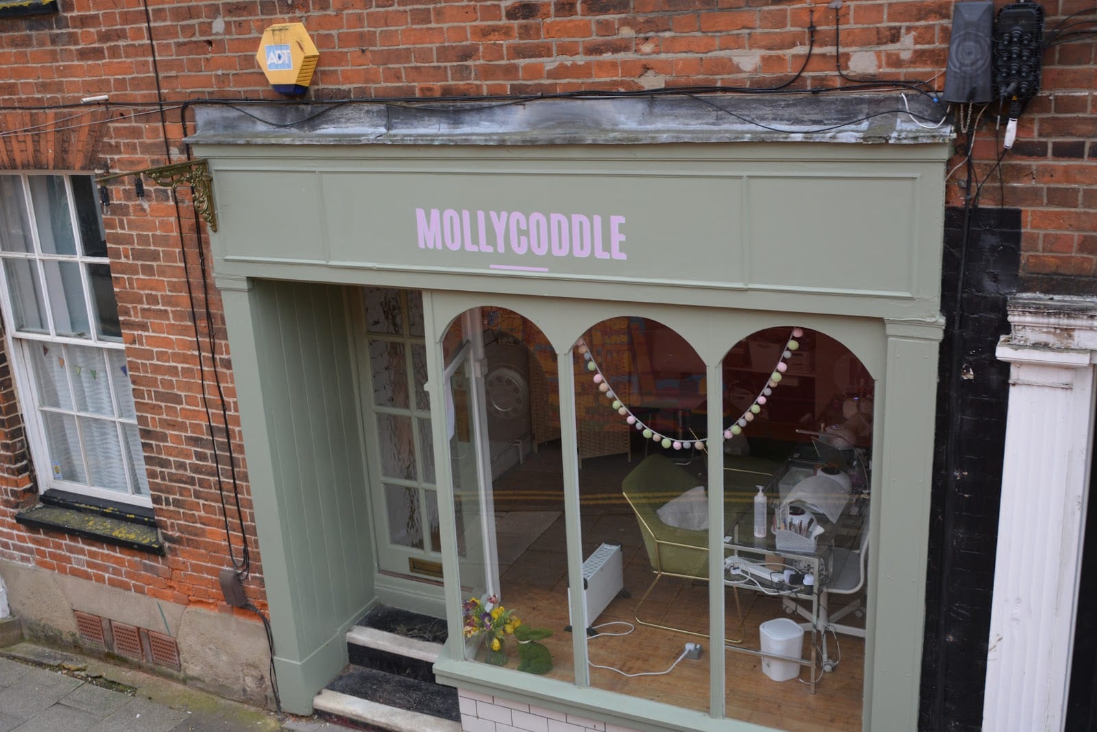 MOLLYCODDLE STUDIOS