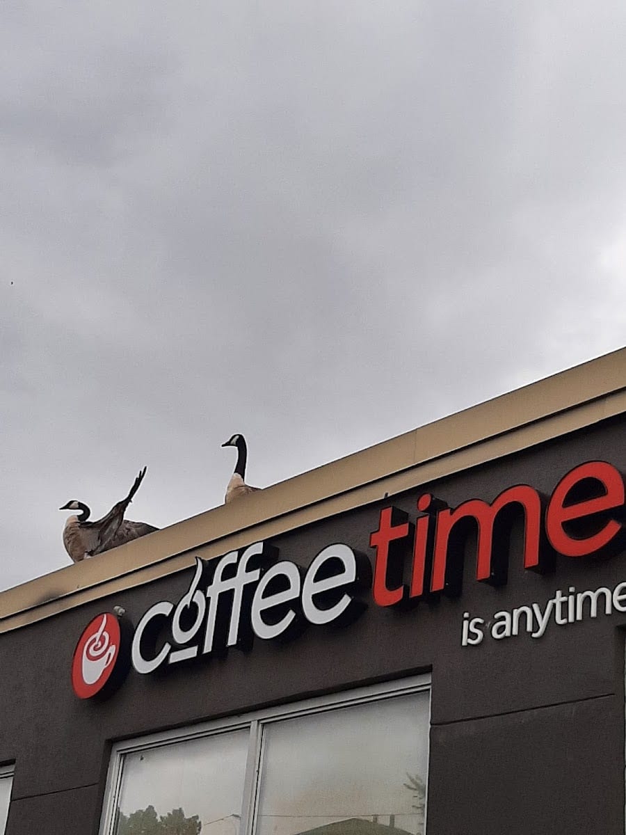 Coffee Time, photo 2