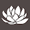 Lotus Honolulu