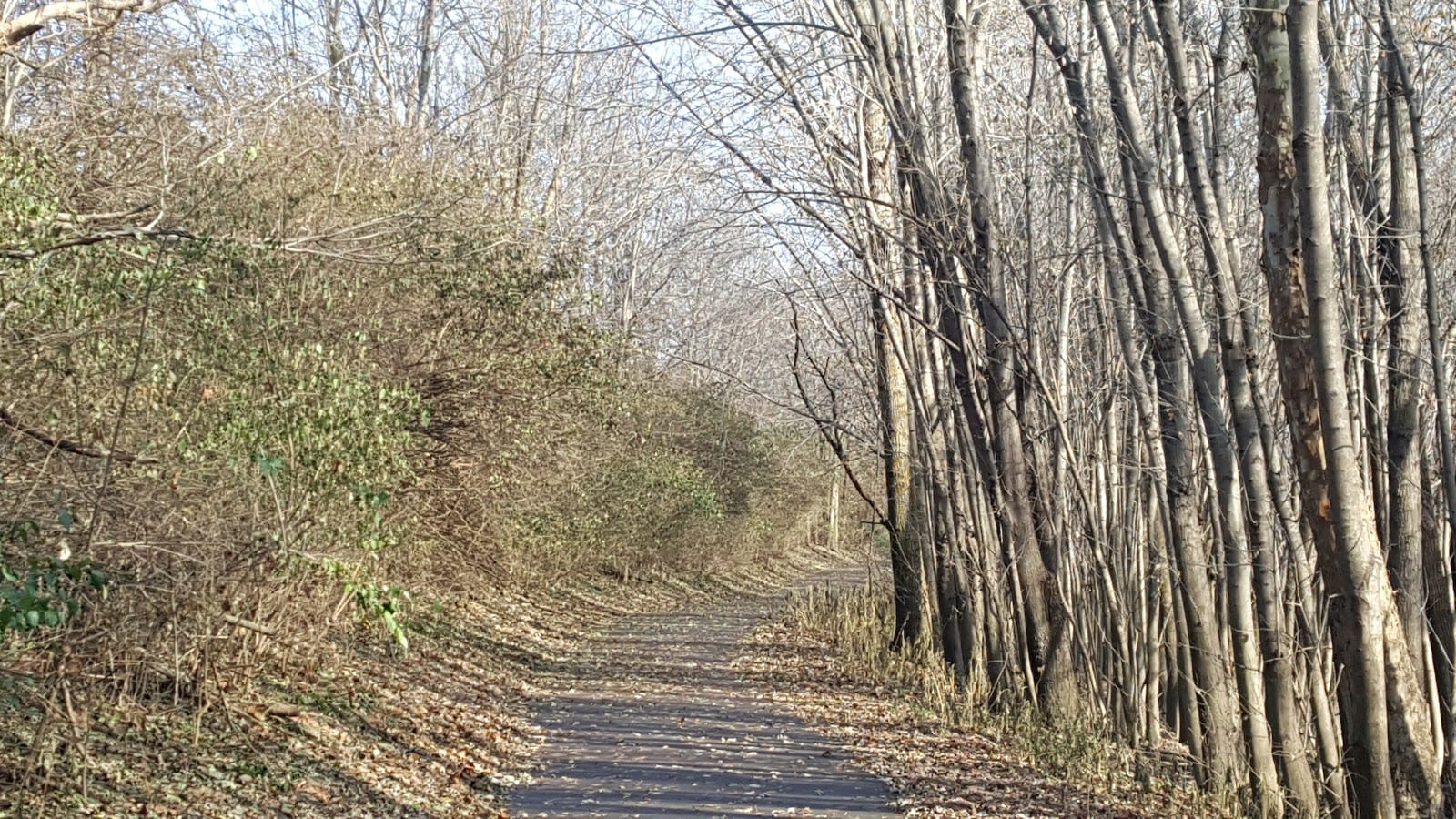 Maumee Trailhead, photo 2