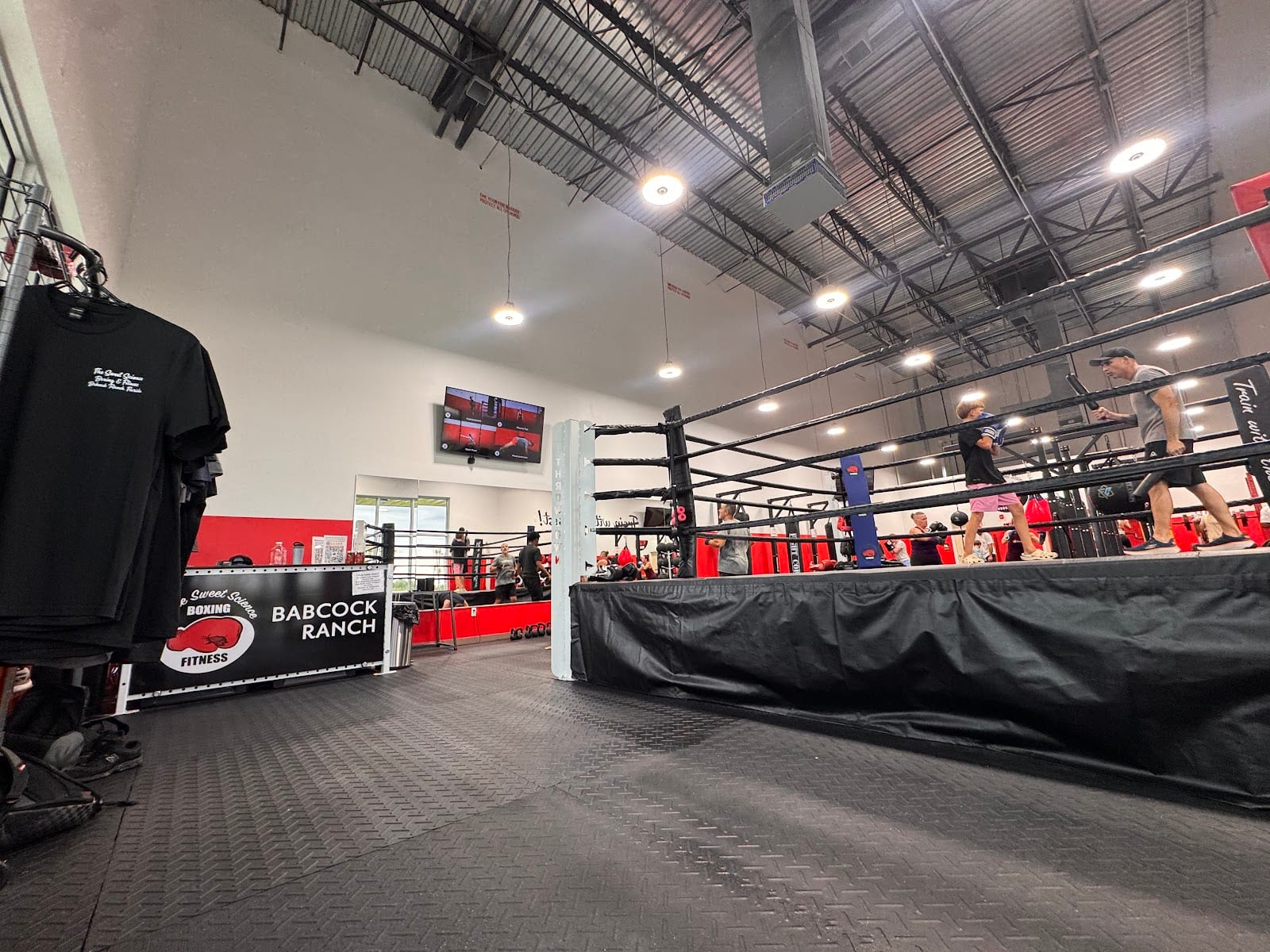 The Sweet Science Boxing & Fitness - Babcock Ranch, photo 2