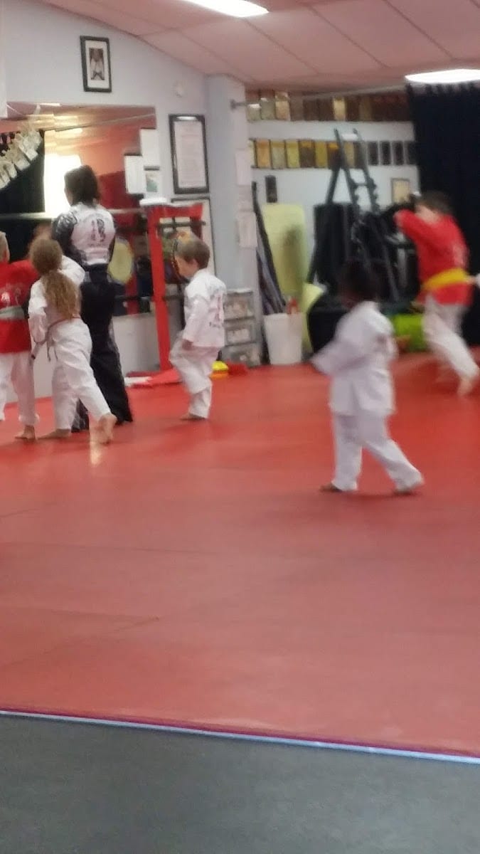 Ripple Effect Martial Arts, photo 4