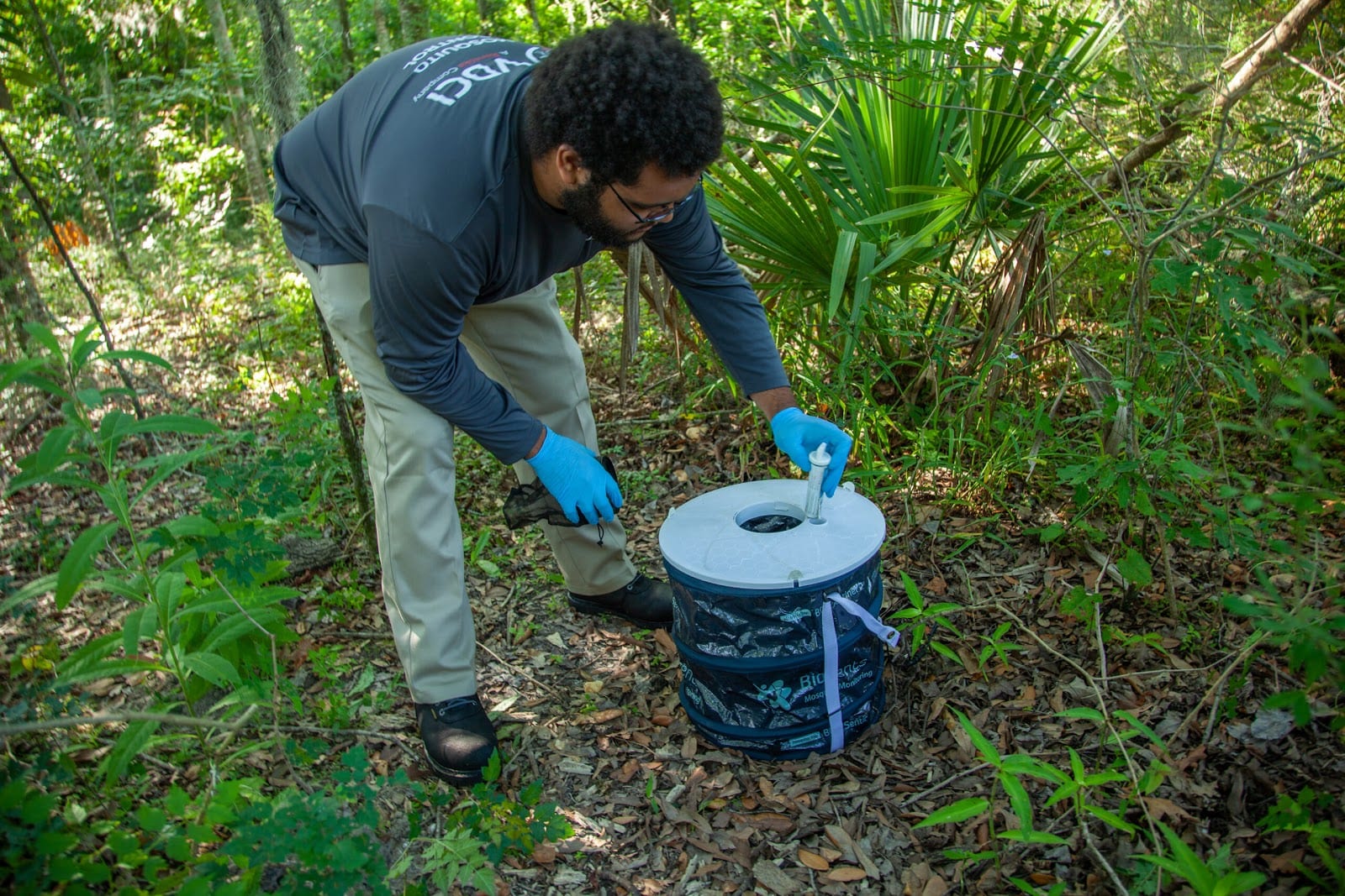 VDCI Mosquito Management, photo 4
