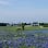 Lillian Farms Bed & Breakfast