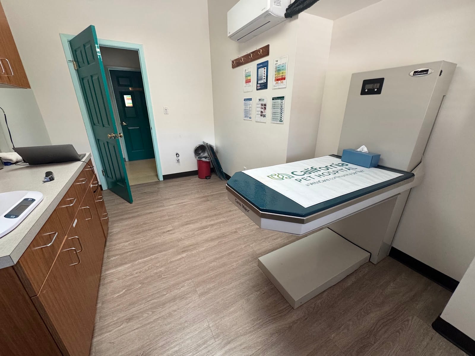 Alley Cat & Dog Pet Hospital, photo 4