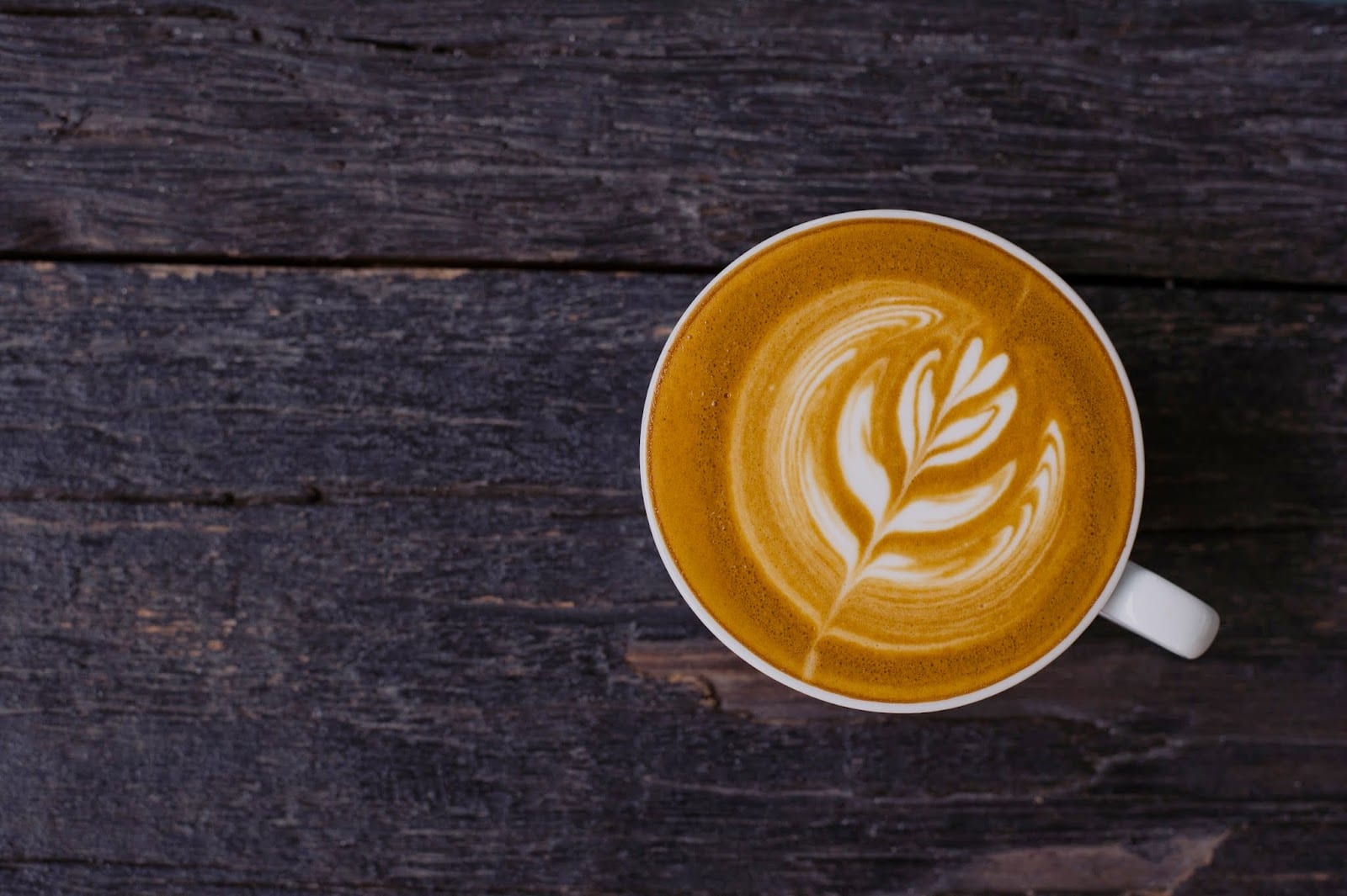 Zeal Coffee Roasters