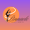 Rhythm Revolution Dance Company