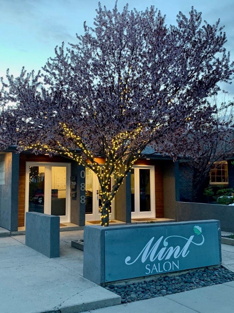Mint Salon