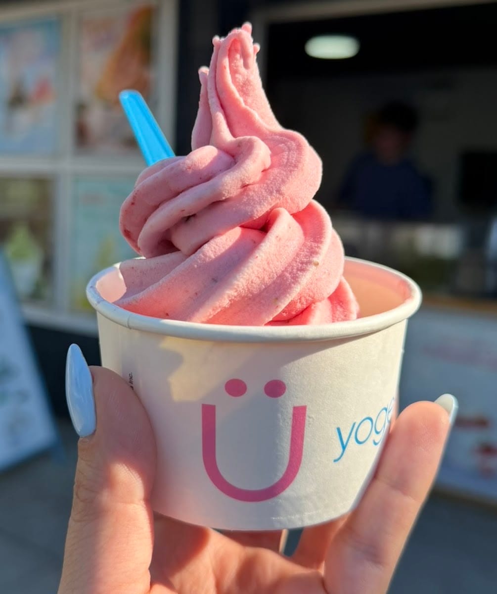 Yogen Früz, photo 3
