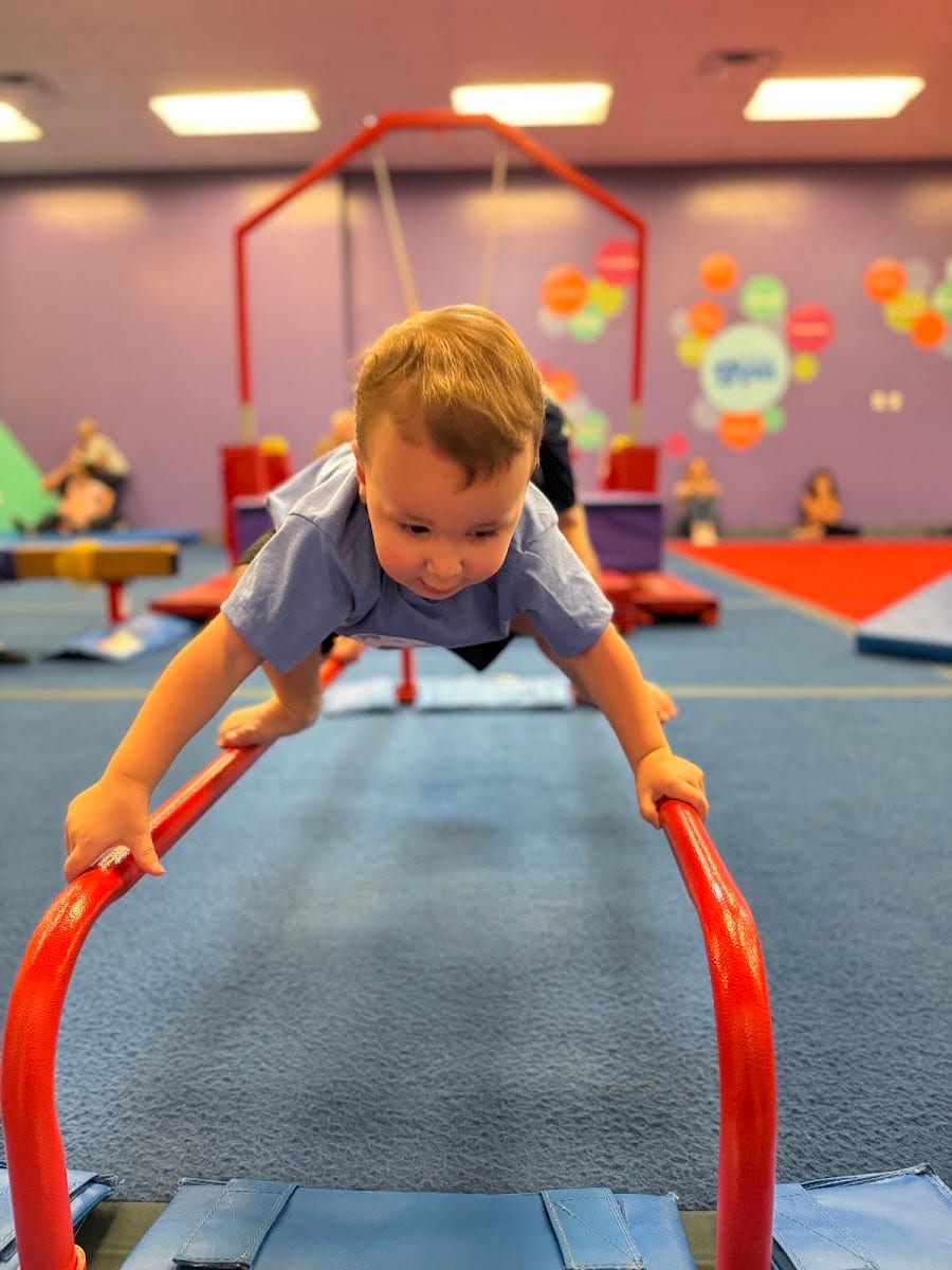 The Little Gym of Flower Mound, Texas, photo 4