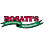 Rosati's Pizza
