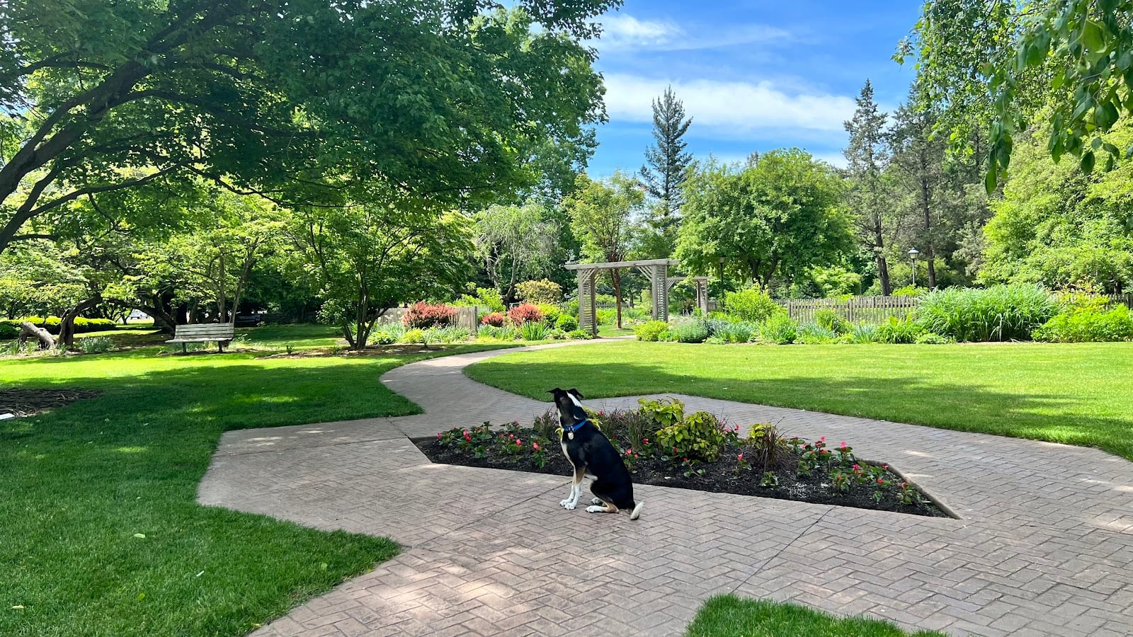 Foster Park