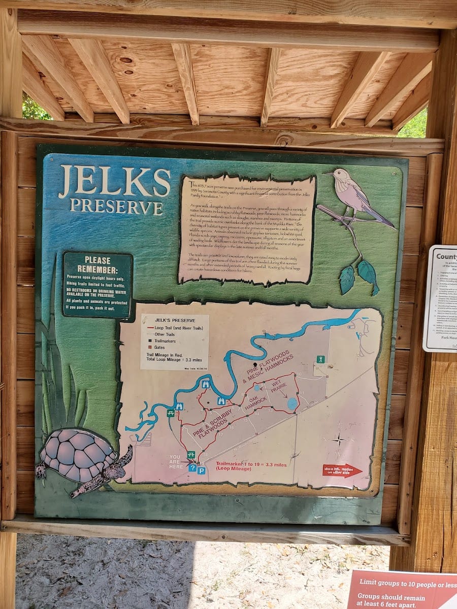 Jelks Preserve, photo 3