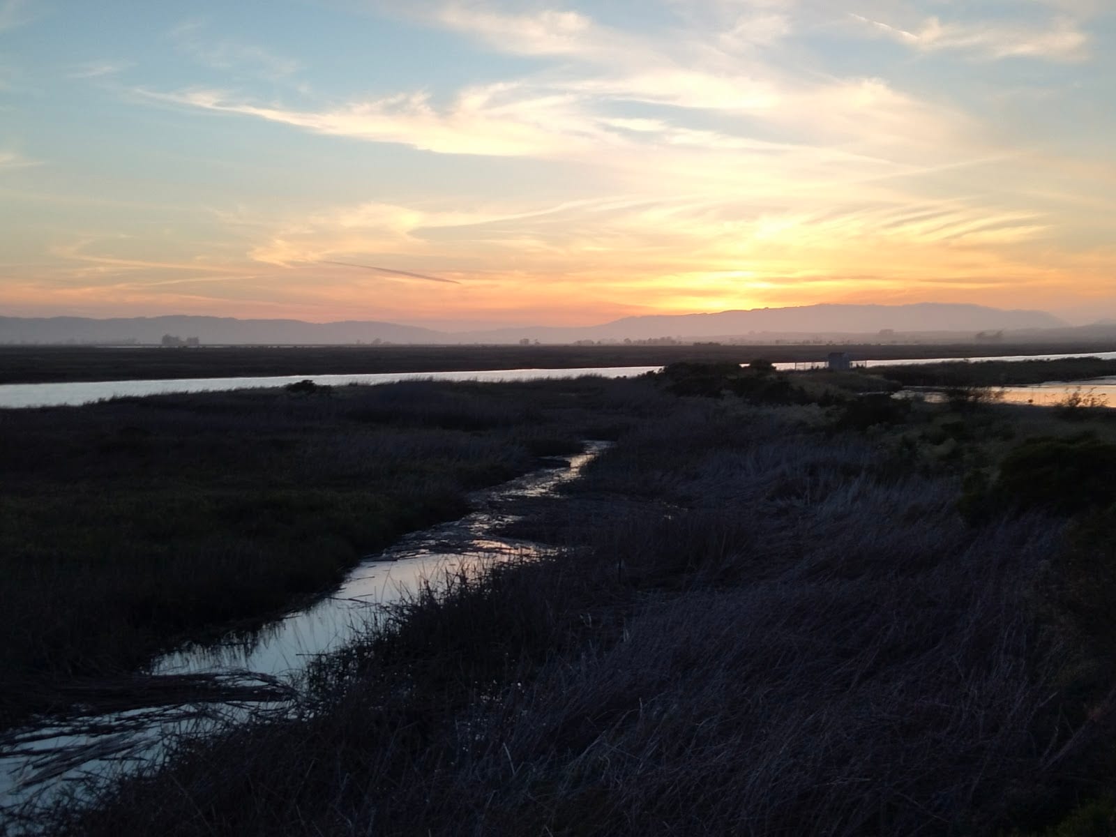 Salt Point