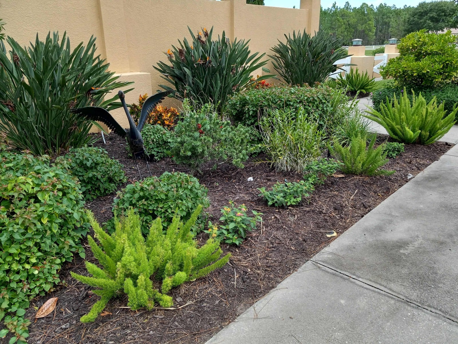 Bulls Landscape & Design