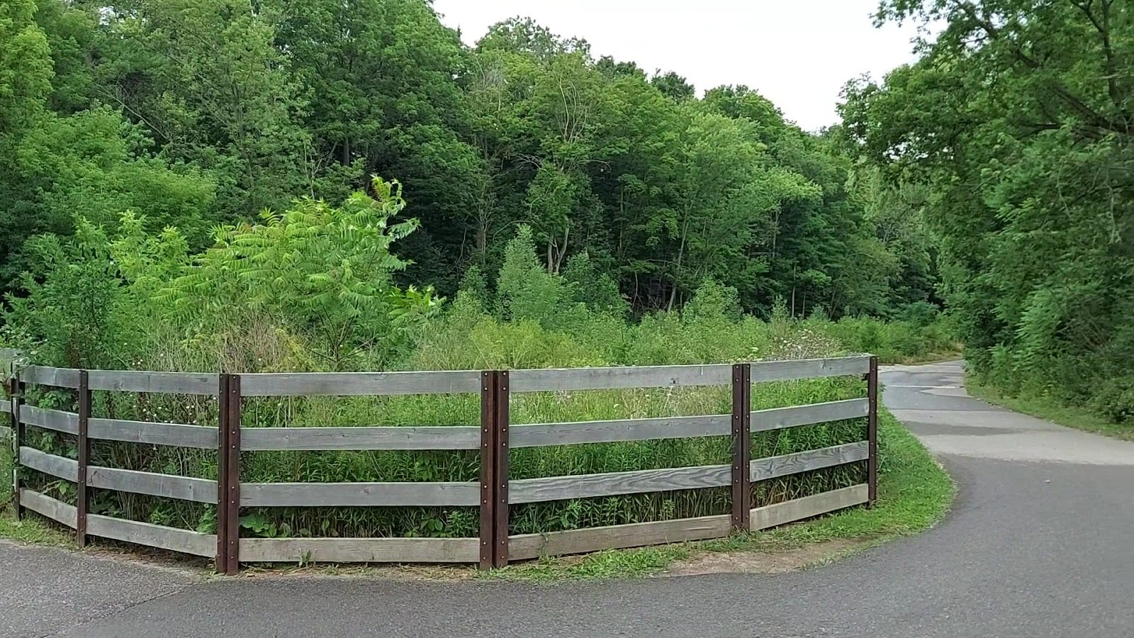 Duncan Creek Trail, photo 2