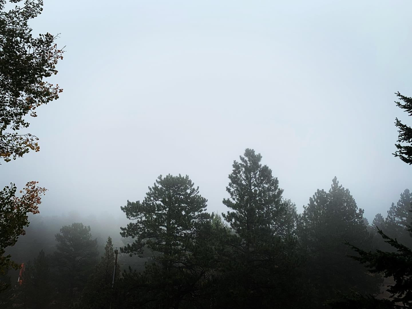 Breeyan Edwards, Broker/Owner at First Colorado Realty, photo 3