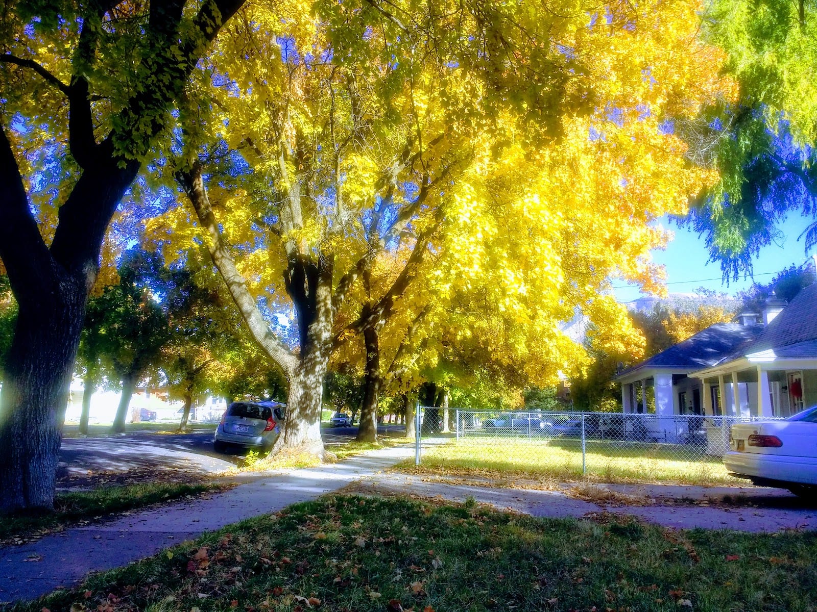 Utah State University Art Department