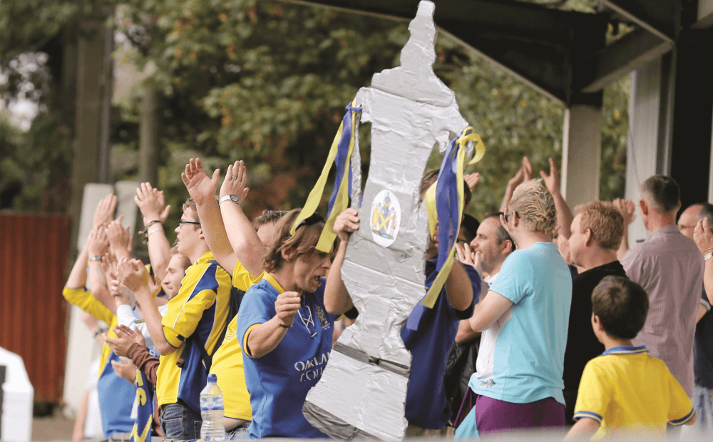 St Albans City Football Club, photo 4