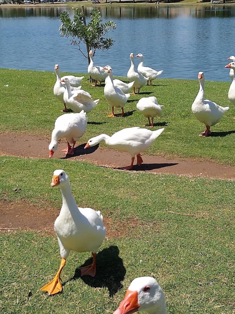 Chaparral Park, photo 2