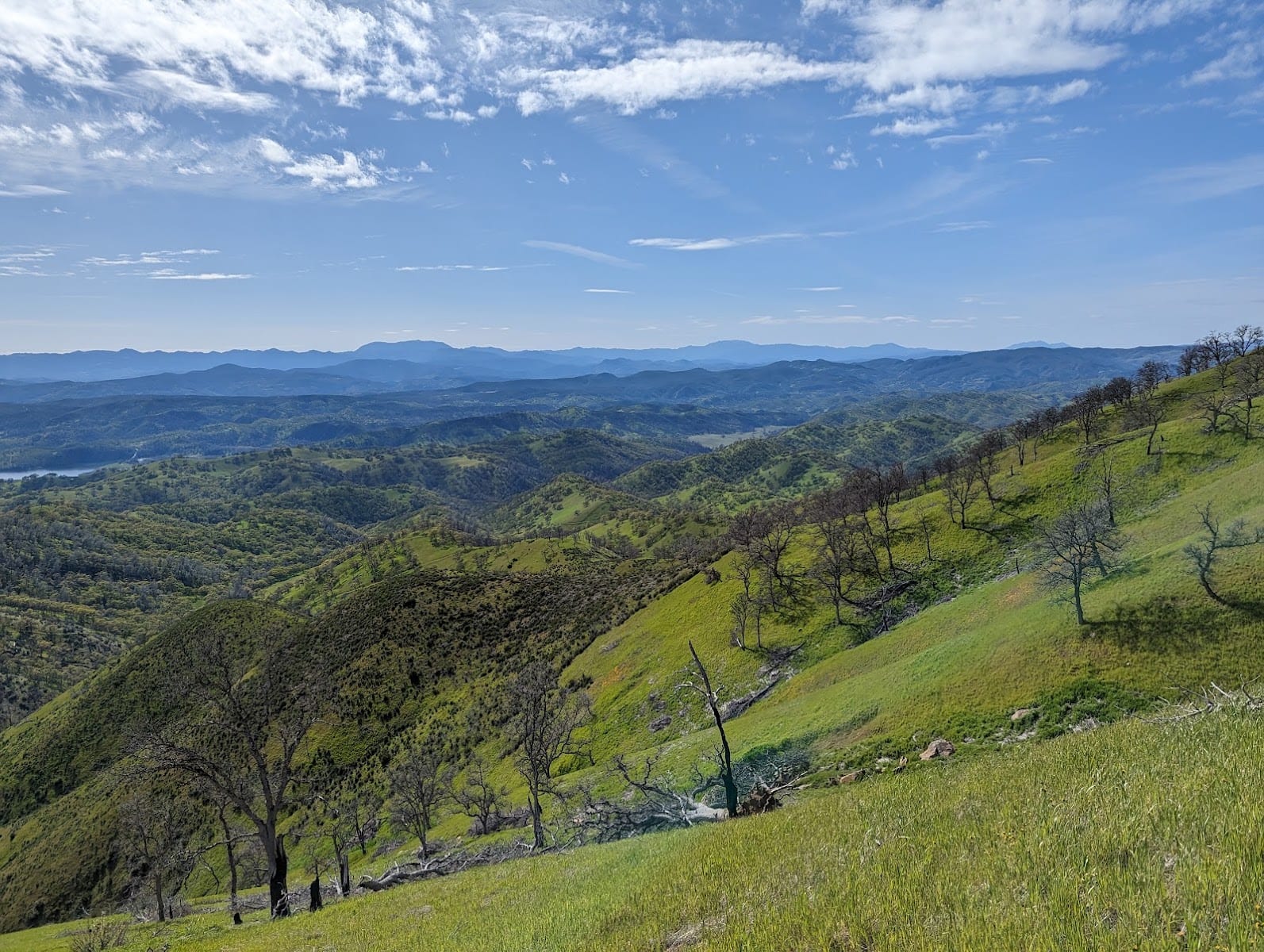 Berryessa Peak Trailhead