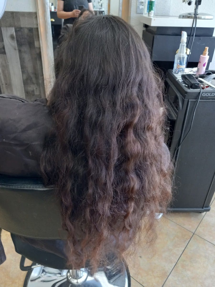The room beauty salon