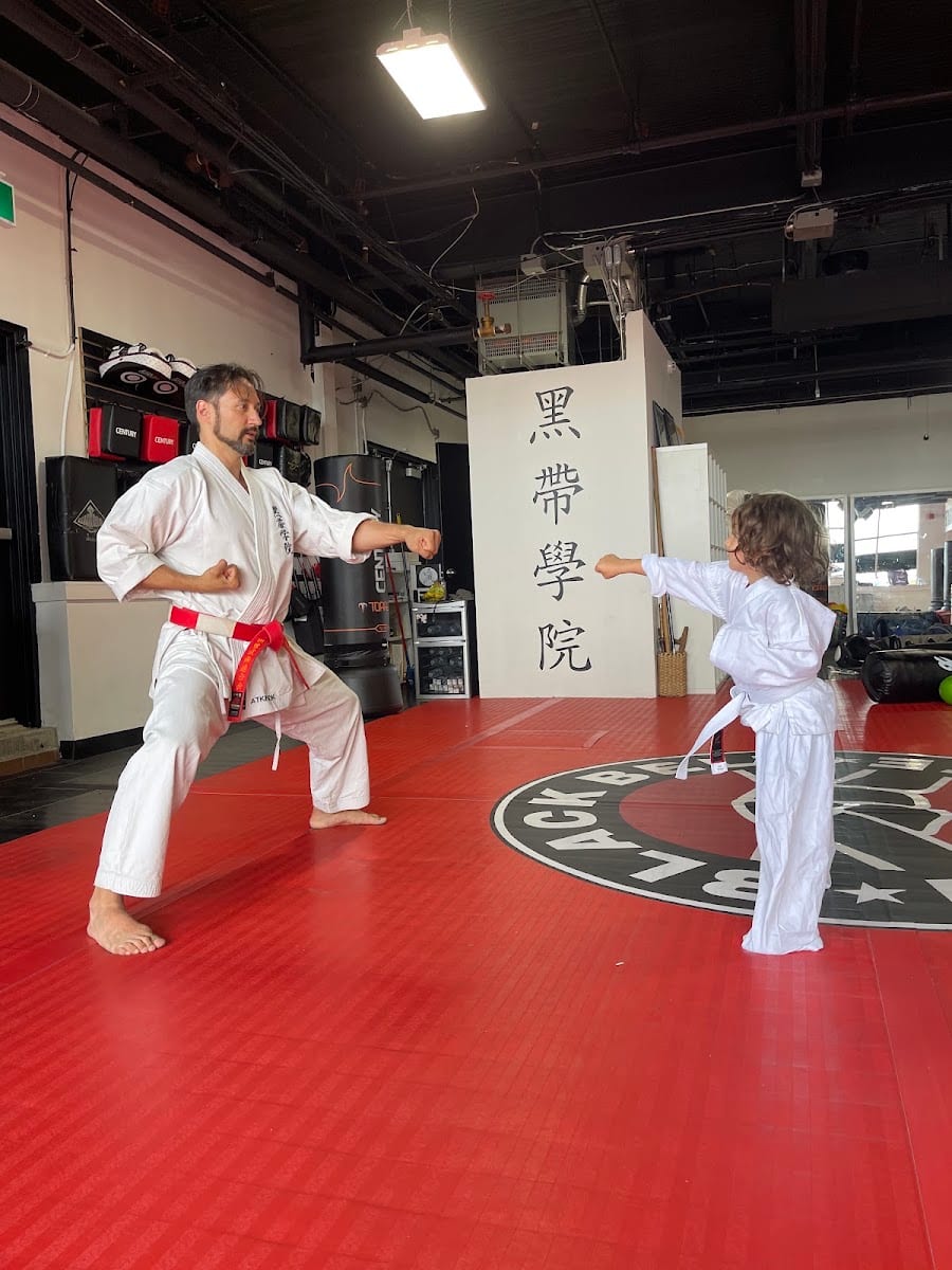 Black Belt Institute, photo 2