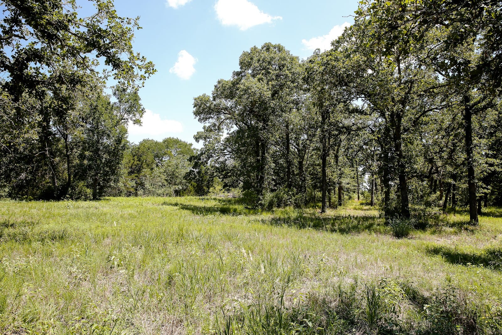 Susan S. Kiel Broker/Owner, United Country Real Estate | Market Realty, photo 4