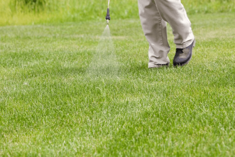 Max’s Lawncare, photo 2