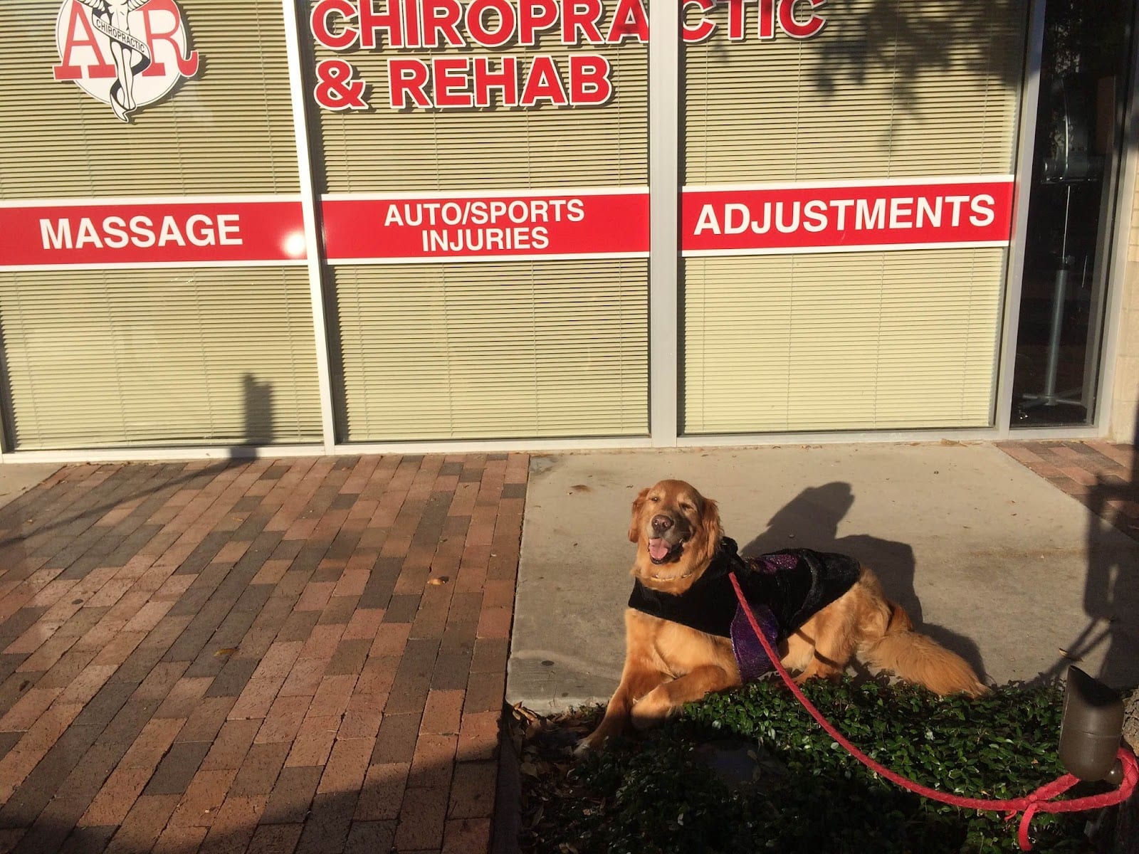 Austin Ranch Chiropractic & Rehab, photo 4