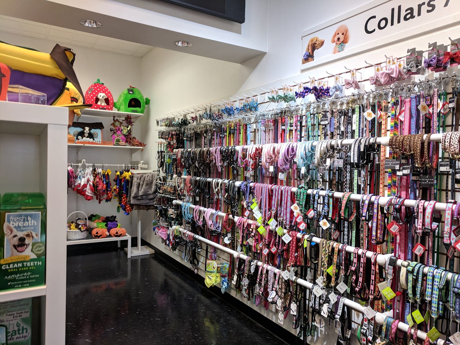 Petshion Boutique, photo 4