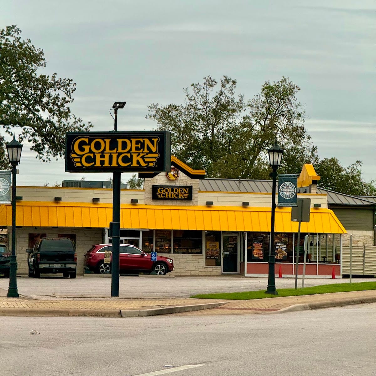 Golden Chick, photo 4