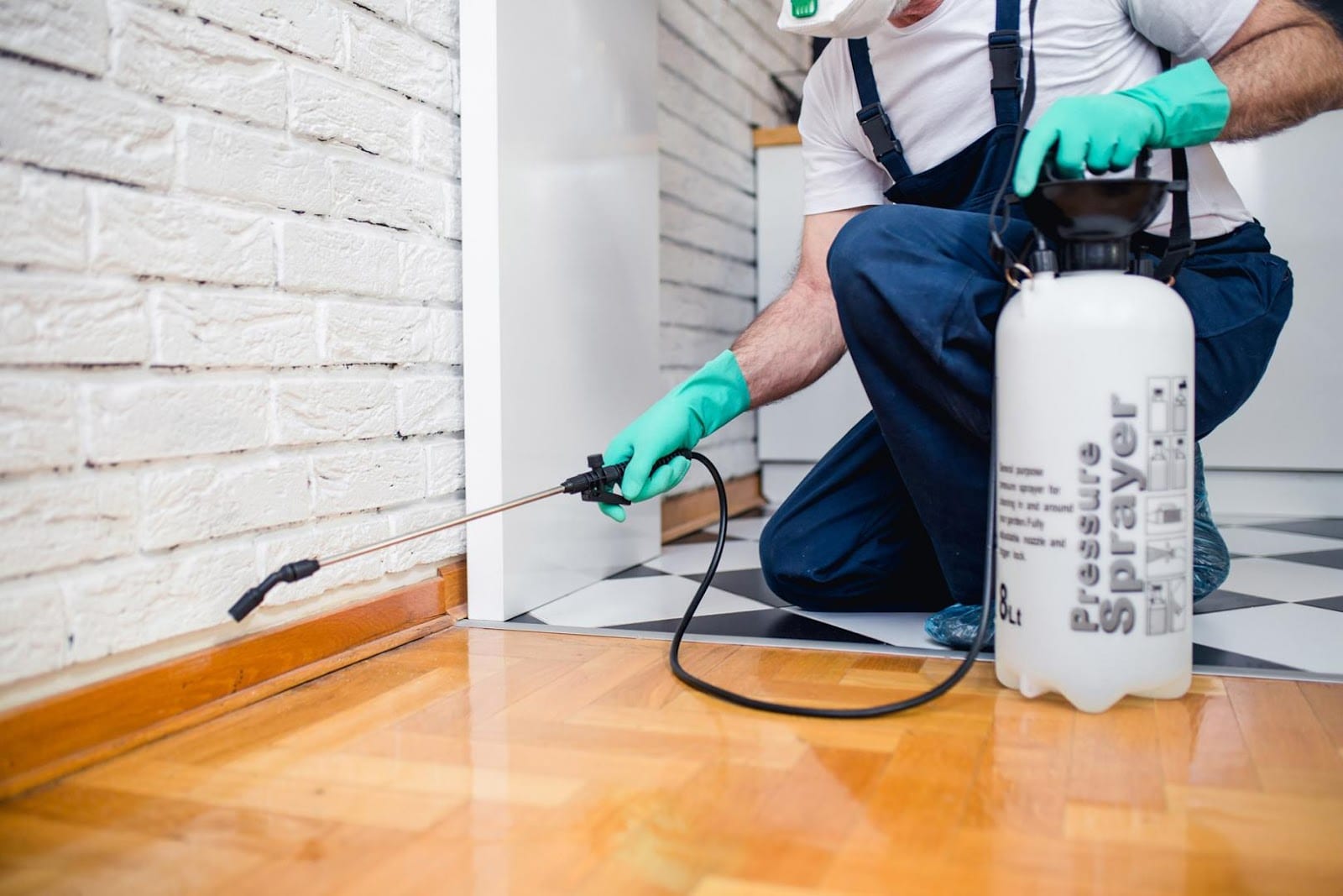 Best Source Pest Control, photo 2